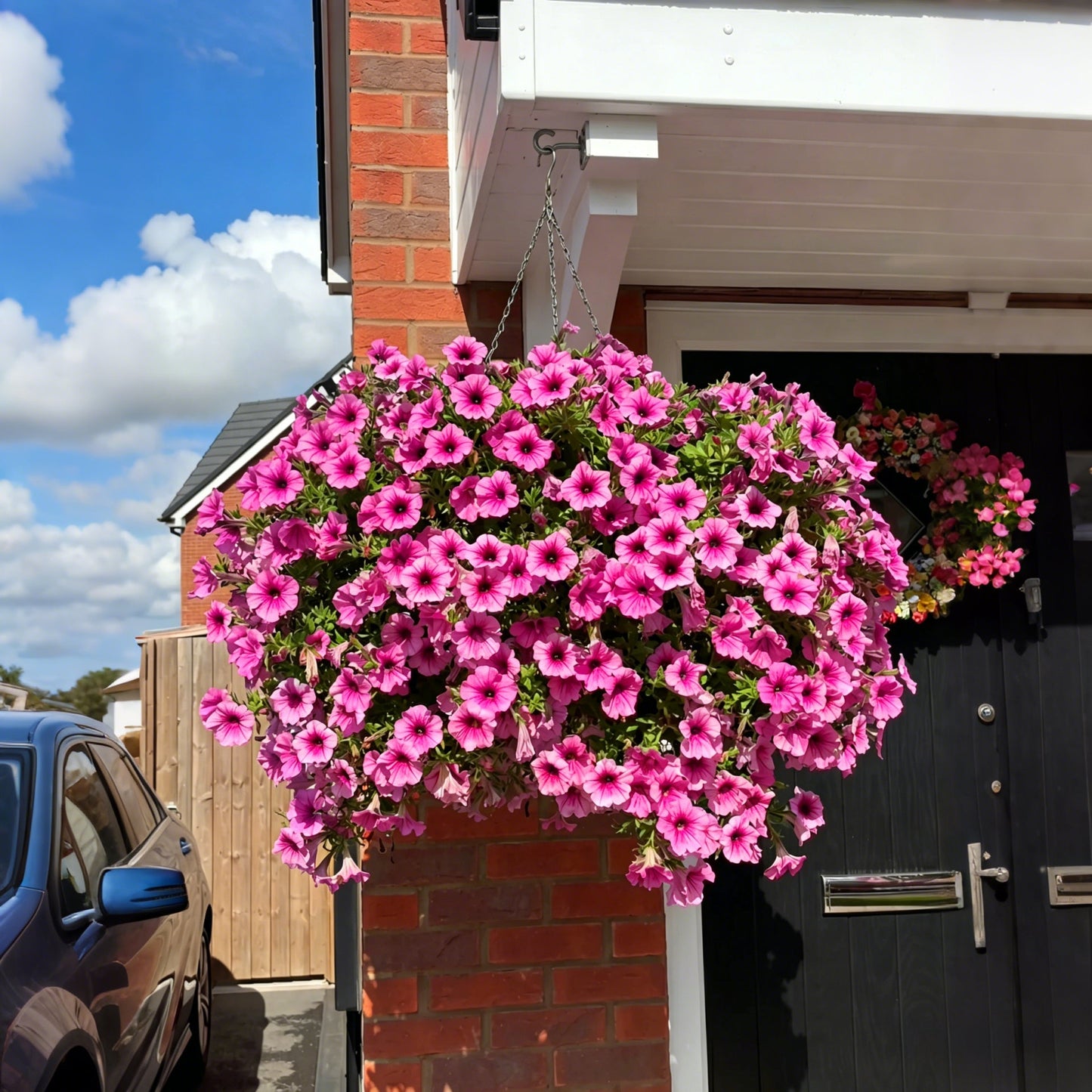 💥Last Day 50% OFF💥UV Resistant Artificial Petunias Flowers